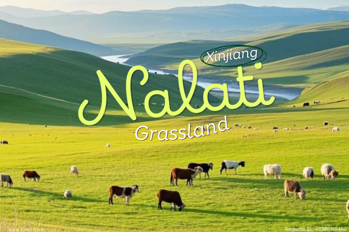 ทุ่งหญ้าลอยฟ้าแห่ง ซินเจียง ทุ่งหญ้านาลาถี Nalati Grassland จีน