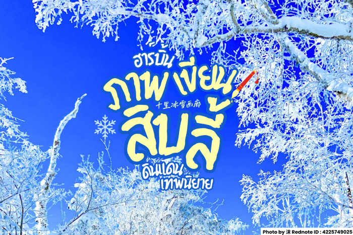เดินเล่น ชมป่าสนหิมะ ภาพเขียนสิบลี้ ️ท่องโลกเทพนิยาย ฮาร์บิน จีน