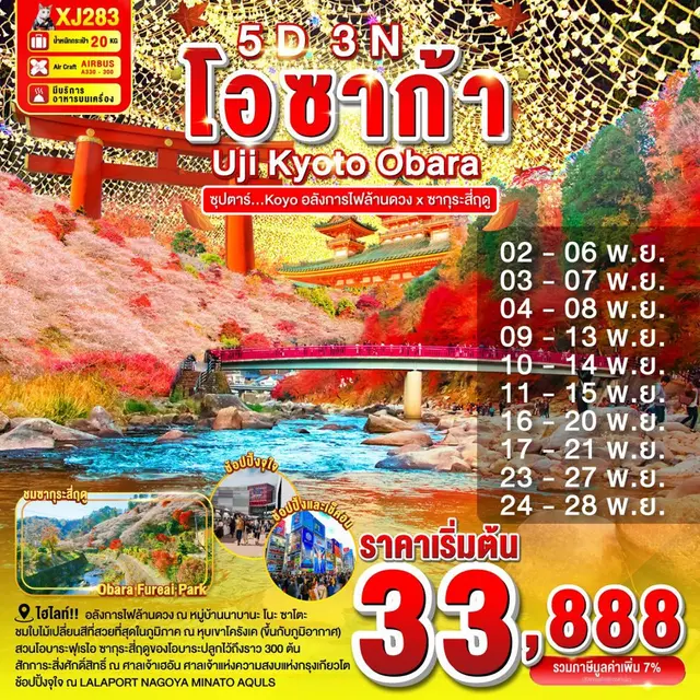 ทัวร์ญี่ปุ่น โอซาก้า UJI KYOTO OBARA ซุปตาร์ อลังการไฟล้านดวง x ซากุระสี่ฤดู 5 วัน 3 คืน