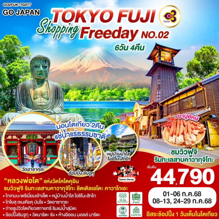 ทัวร์ญี่ปุ่น TOKYO FUJI SHOPPING FREE DAY NO.02 6D 4N โดยสายการบินไทย [TG]
