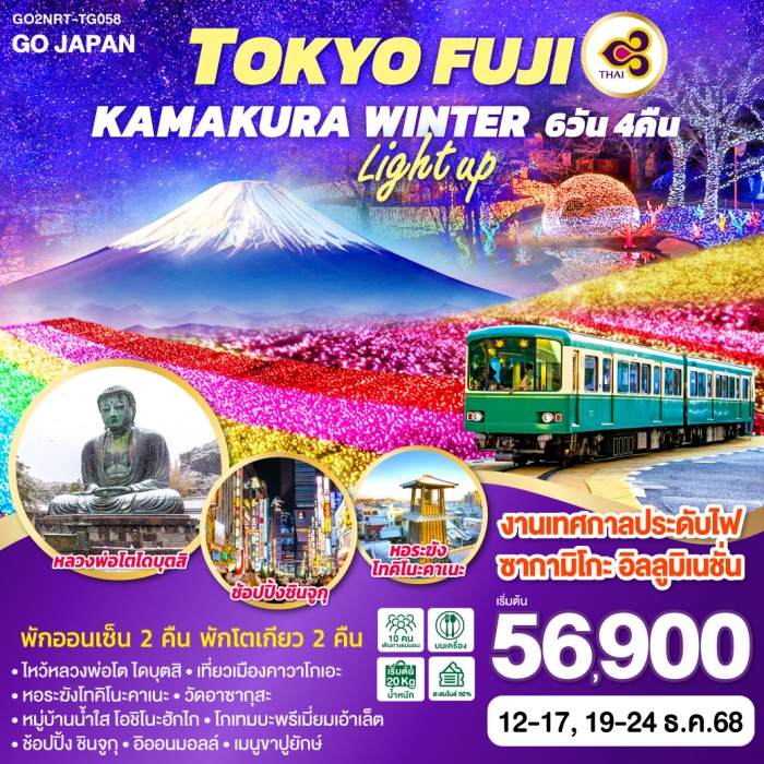 ทัวร์ญี่ปุ่น TOKYO FUJI KAMAKURA WINTER LIGHT UP 6D 4N โดยสายการบินไทย [TG]
