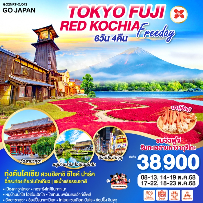ทัวร์ญี่ปุ่น TOKYO FUJI RED KOCHIA FREEDAY 6D 4N โดยสายการบินไทยแอร์เอเชีย เอ็กซ์ [XJ]