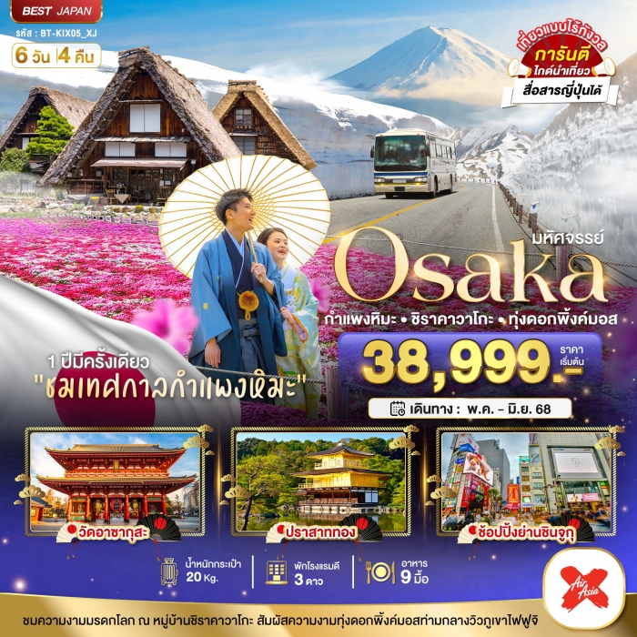 มหัศจรรย์ Osaka กำแพงหิมะ ชิราคาวาโกะ ทุ่งดอกพิ้งค์มอส 6 วัน 4 คืน