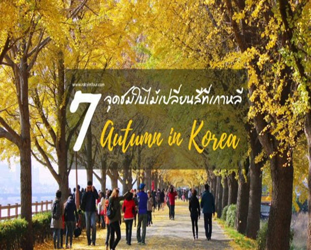 7 จุดชมใบไม้เปลี่ยนสีในเกาหลีที่ต้องตามไปดู!🍁🍂