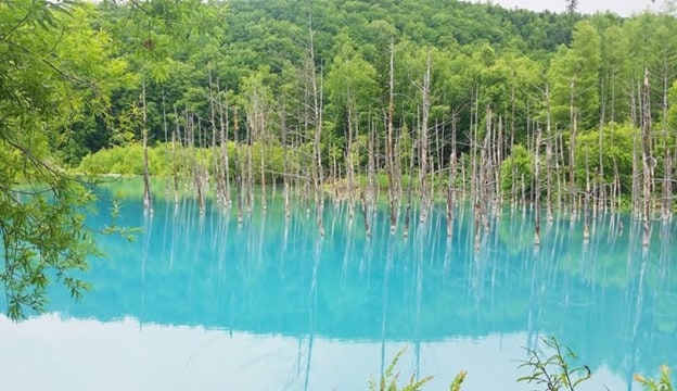 บ่อน้ำสีฟ้า (Blue Pond)